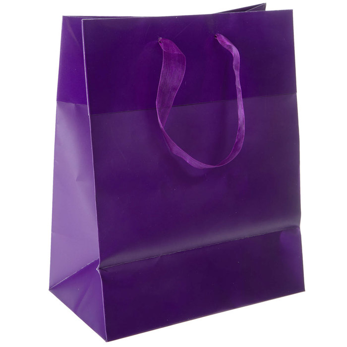 Gift bags deals medium size